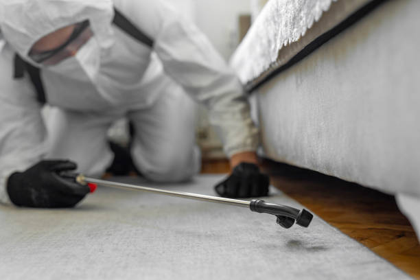 Professional Termite Control technician working in Walla Walla, WA