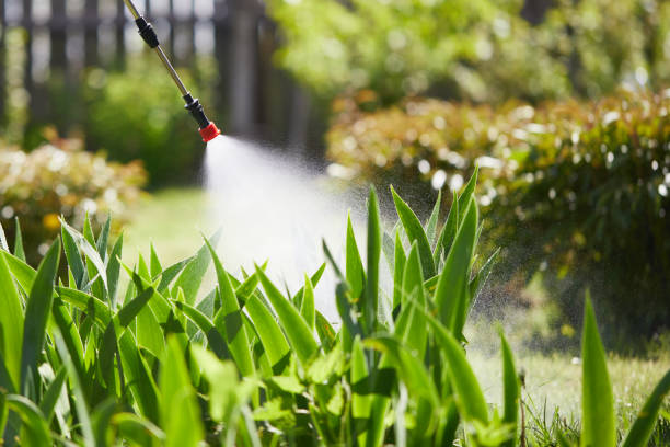 24/7 Emergency Termite Control experts in Walla Walla, WA